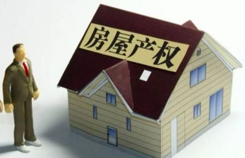 住房产权单位怎么填