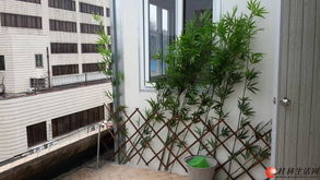 有露台的房产怎么过户