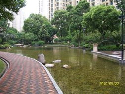 苏州园区房产怎么查询学位