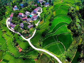 广安怎么查询房产信息