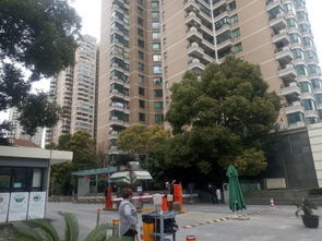 永新爱美房产怎么样