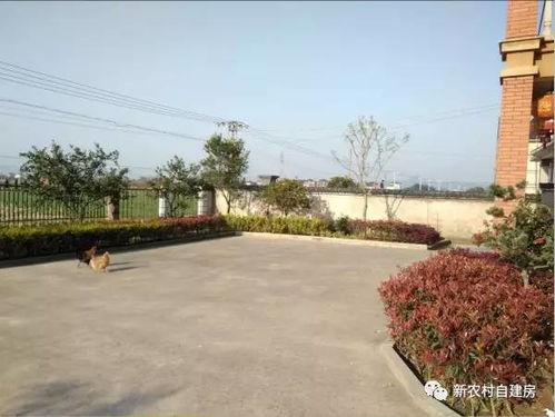 农村房产怎么售卖最划算