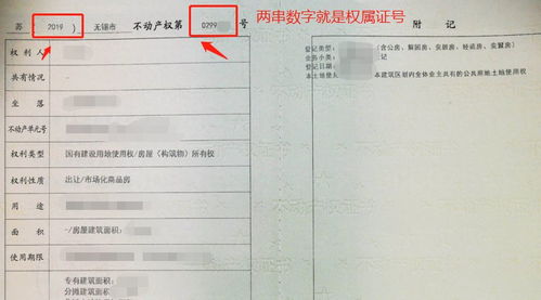 怎么确认房产确权证真假