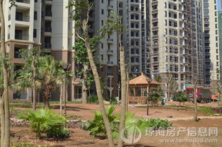 琼海怎么查房产信息