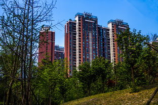 雁门房产怎么样