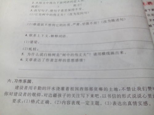 房产分户报告怎么写