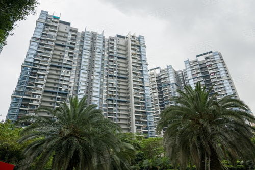 中大汇房产怎么样