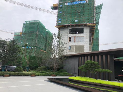 鸿山房产怎么样