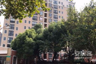 大竹天意房产怎么样