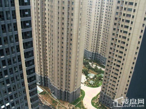 建美房产怎么样