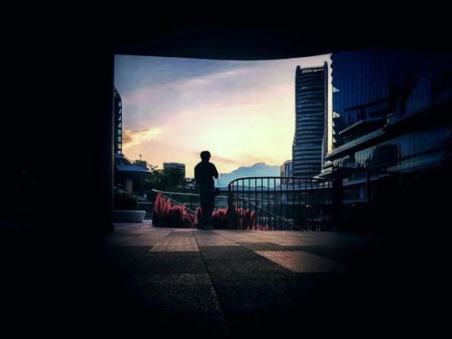 房产怎么拍几个场景照片