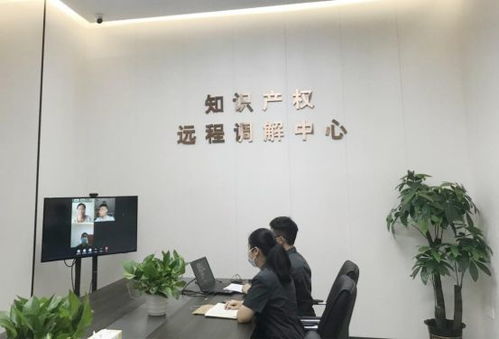 房产法庭怎么调解案件的