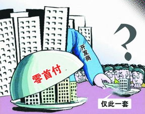 房产客户怎么买房的呢