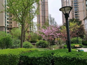 西域风光房产怎么样