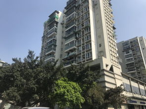 温州小胖房产怎么样