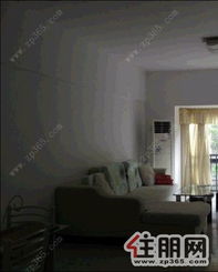 怎么搜房产达人的房源