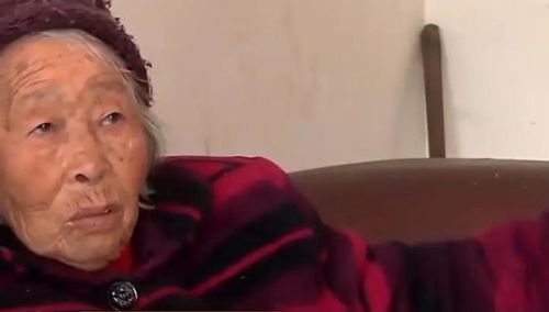 外婆舅舅分房产怎么分