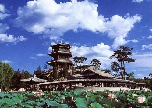 西藏避暑房产怎么样 西藏避暑房产怎么样