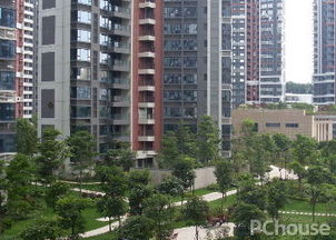 临漳乐邦房产怎么样 临漳乐邦房产怎么样