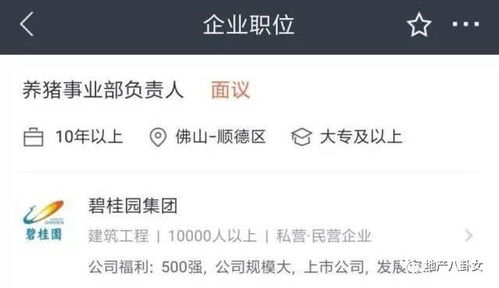 房产公司还债怎么还款