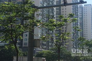 德裕房产全南怎么样