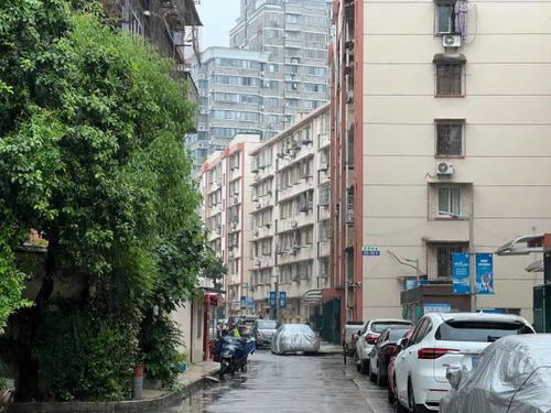 赵县怎么挂牌卖房的房产