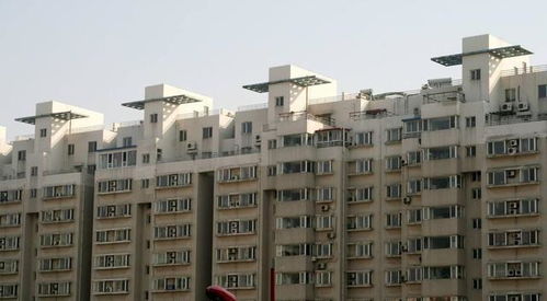 赵县怎么挂牌卖房的房产