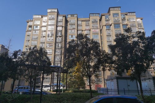 单县房产评价怎么样