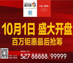 头条专注房产怎么做