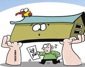 残疾人怎么过户房产