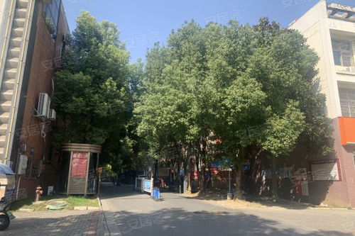 徽商房产工作怎么样