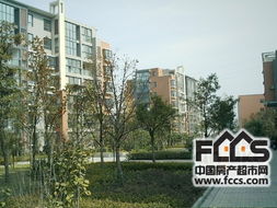 房产视频花园应该怎么拍