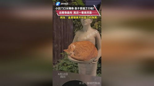 女盘怎么看房产