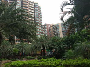 东莞长安房产怎么选房