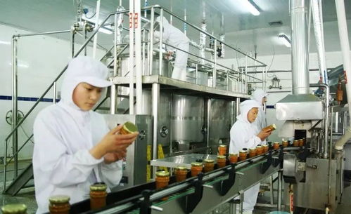 房产创新灵感分析怎么写