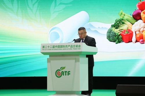 县长推介房产怎么说