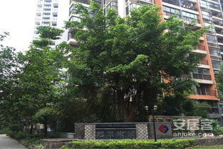 惠安房产远景怎么样