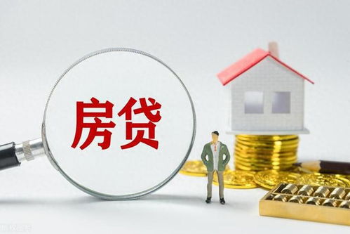 房产政策解读视频怎么拍