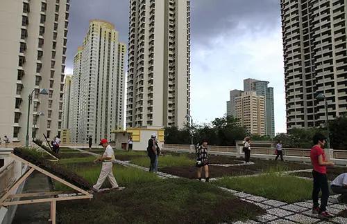 想买新加坡房产怎么买呢