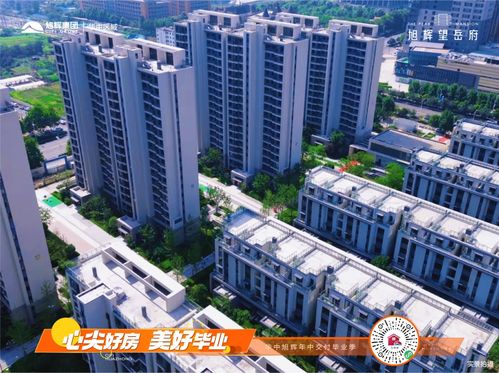 普宁房产行业怎么样