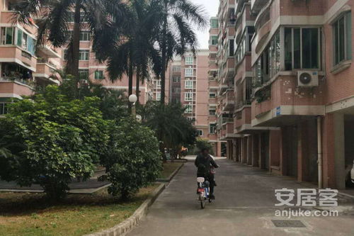 东莞阿飞房产怎么样