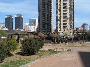 龙里铂金房产怎么样