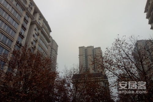 太康梦园房产怎么样