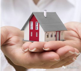 摸底调查房产怎么写