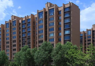 62岁无房产怎么处理