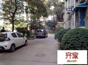 巴中诚信房产怎么样