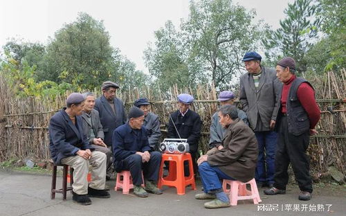 农村老人分房产怎么写
