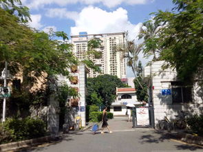 华侨路房产怎么样 华侨路房产怎么样