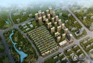 合肥滨湖房产怎么摇号