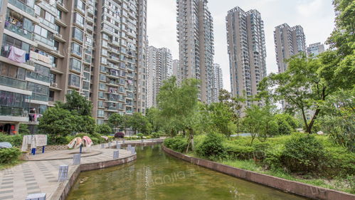 合肥滨湖房产怎么摇号